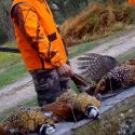 Hunting in Sologne: when birds dying is a good deal