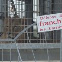 Victory: a lion taken away from a trainer from the Nouveau Cirque Triomphe