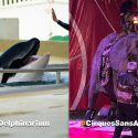 One Voice is raising awareness among the public for animals kept in dolphinariums and circuses in 13 towns throughout July