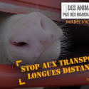 “Animals, are not products”, a global mobilization