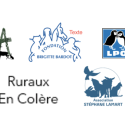 Safety project by the Senate Hunt — Associations that are victims of hunting and animal advocates report on a shameless link and ask for fast governmental action