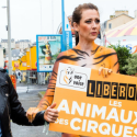 Chaque jour est un jour de trop ! One Voice en action à Granville pour les animaux des cirques en France