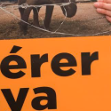 One Voice assignée au Tribunal par le cirque qui veut lui ôter le droit à défendre l’éléphant Maya