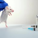 Week of action across Europe against cruel botox tests on mice despite animal-free tests being available for 10 years