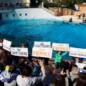 One Voice flash action for Femke the dolphin at the Parc Asterix on September 1st 2018