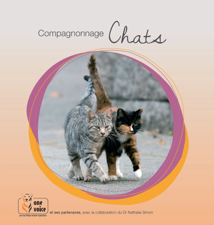Compagnonnage Chats