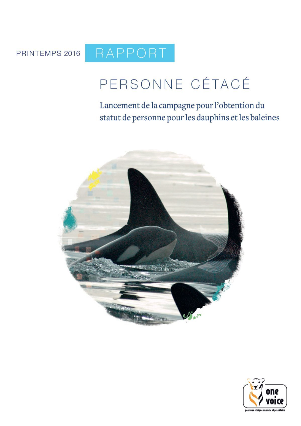 Lancement de la campagne pour l'obtention de personne pour les dauphins et les baleines