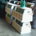 Cruelty Free International and One Voice reveal scandalous information about Air France transporting monkeys from Mauritius destined for experimentation