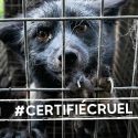 Le Programme « WelFur » de l’industrie de la fourrure : critiqué par les vétérinaires qui l’accusent de dissimuler la souffrance animale, condamné par les militants animalistes comme « manipulation cynique de l’opinion publique ».