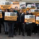 To free Maya, a silent protest is being organized by One Voice in front of the circus that detains and exploits her, this Saturday, November 4th at 12.00 pm in Cannes!