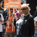 One Voice organise un rassemblement pour exiger des cirques sans animaux samedi 2 décembre 2017, 15h à proximité du cirque Bormann Moreno