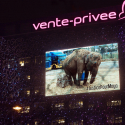 Jacques-Antoine Granjon and One Voice: Together for the release of animals held in circuses!