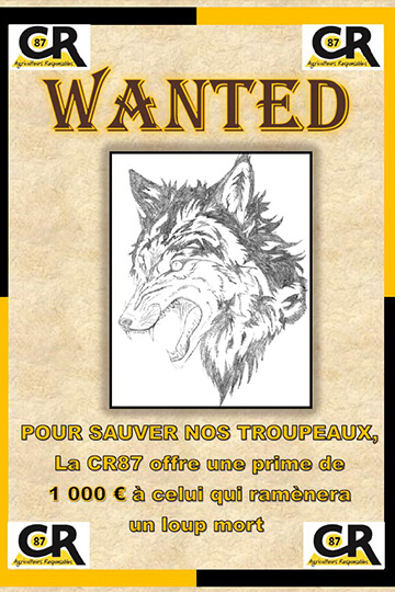 Incitation au braconnage de loups : le dérapage de trop de la Coordination Rurale 87 !