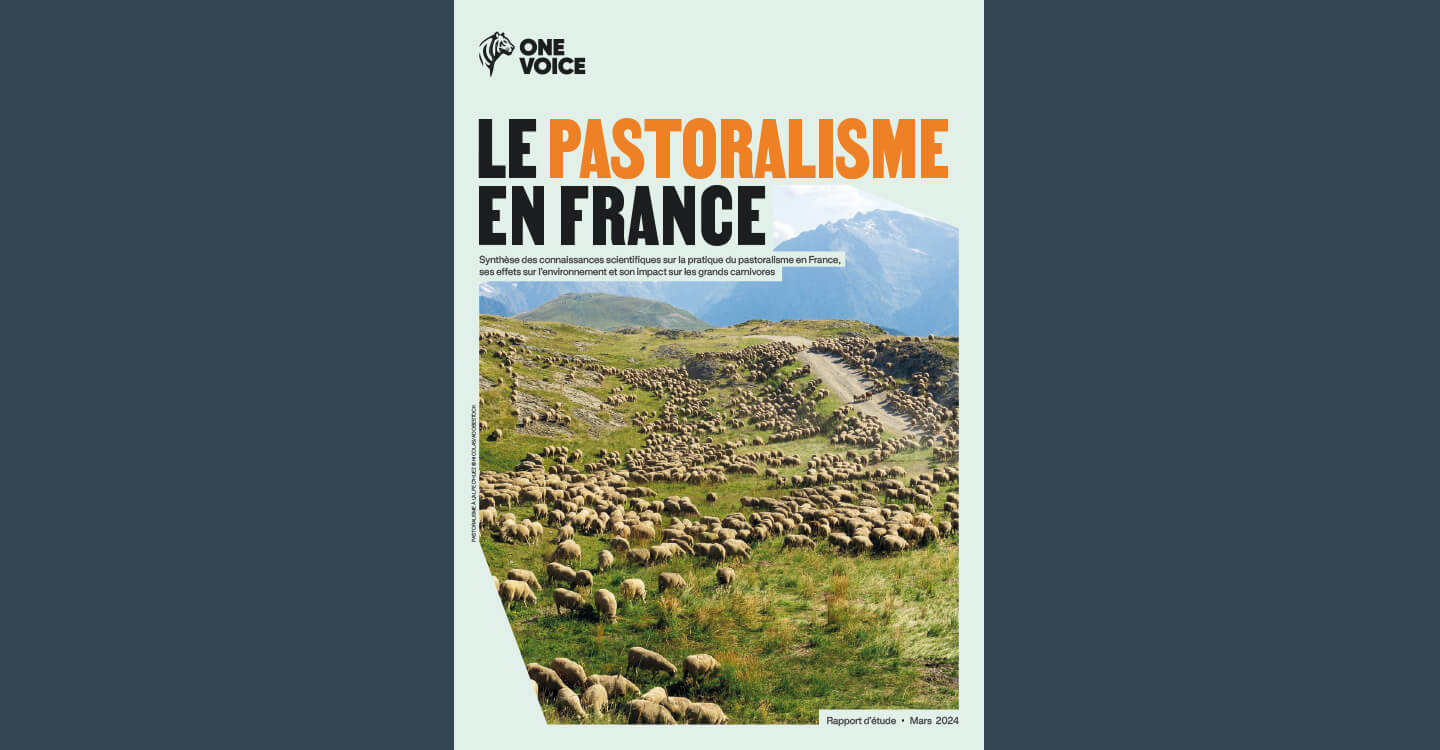 Qui a peur du pastoralisme ?