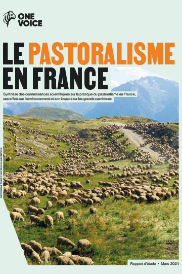 Qui a peur du pastoralisme ?