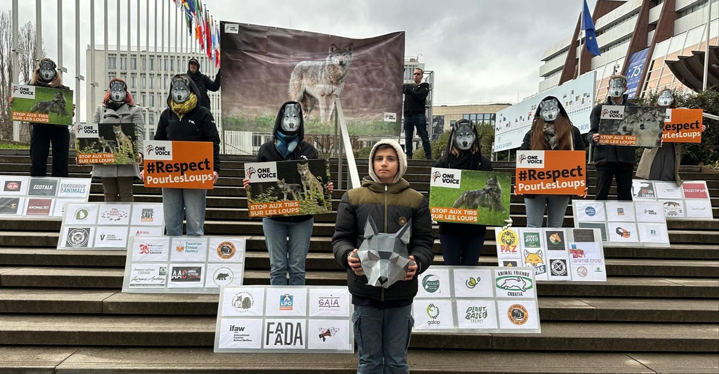 Strasbourg - Mobilisons nous pour les loups - 13 février 2025