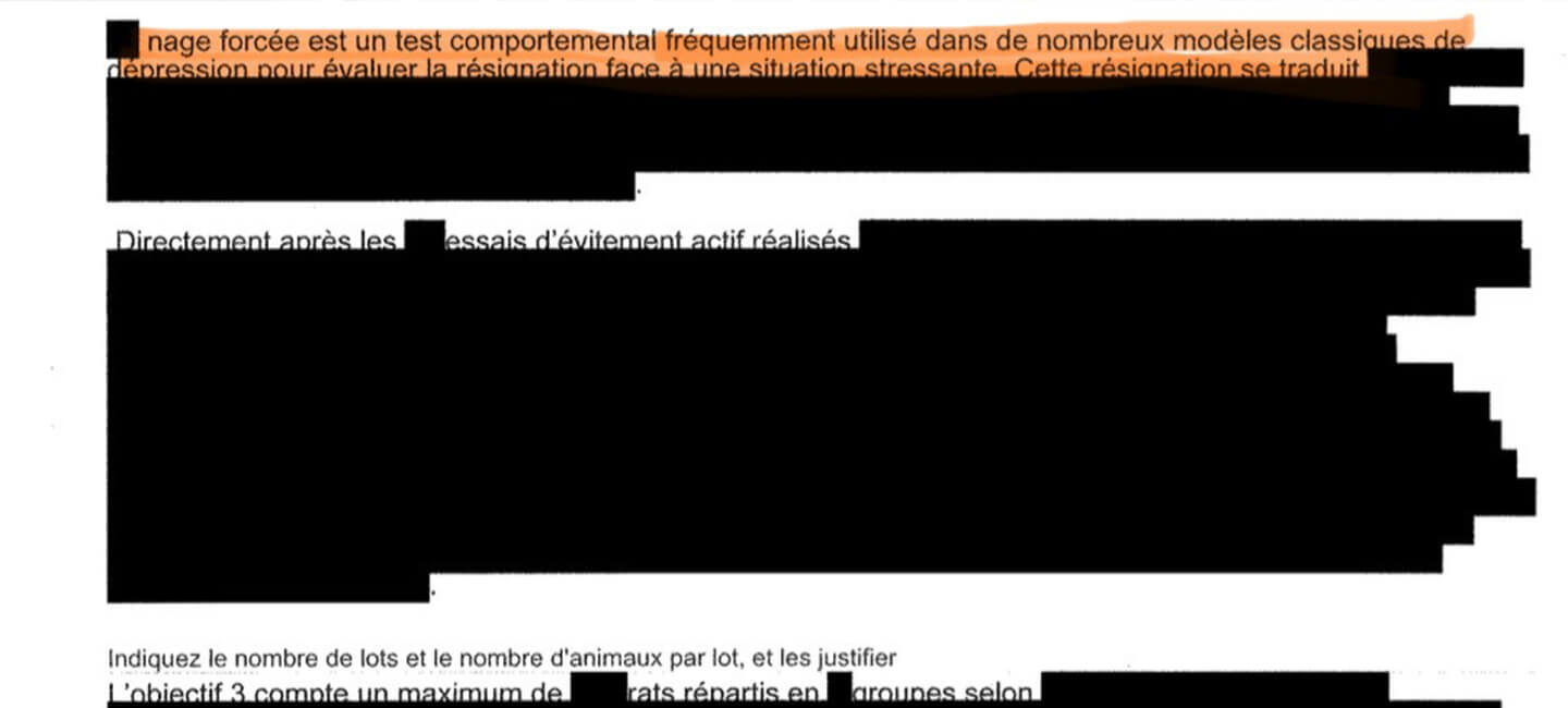 Nage forcée des rats : le ministère de la Recherche ne veut pas qu’on fourre le nez dans ses affaires…