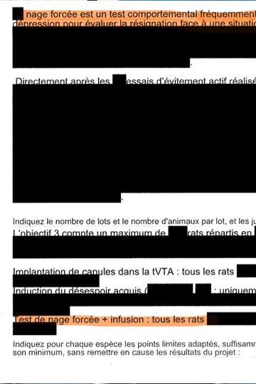 Nage forcée des rats : le ministère de la Recherche ne veut pas qu’on fourre le nez dans ses affaires…