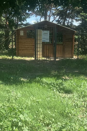 Le 26 mars à 14h, inauguration du Chatipi pour aider les chats errants de Saint-Geniès-de-Comolas 