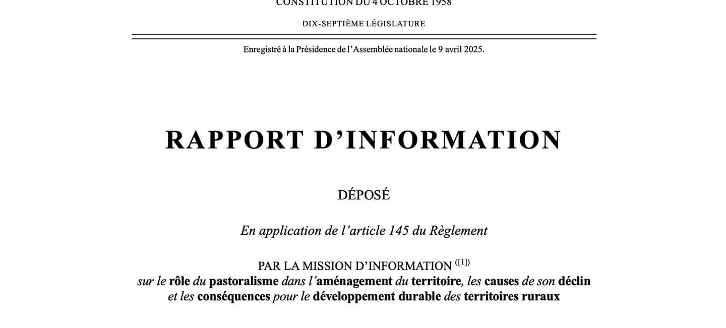 Rapport parlementaire sur le pastoralisme: les attaques de loups sur les troupeaux diminuent