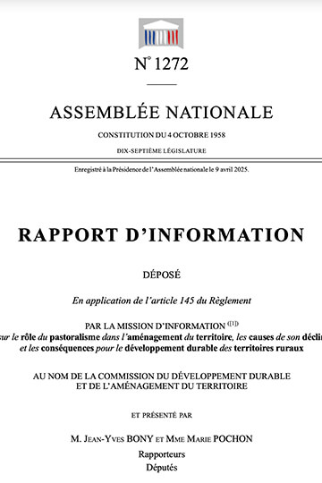 Rapport parlementaire sur le pastoralisme: les attaques de loups sur les troupeaux diminuent