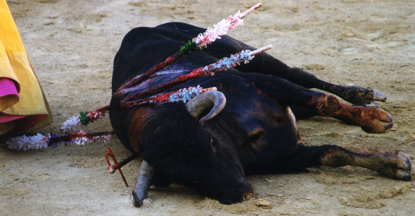 #StopCorrida