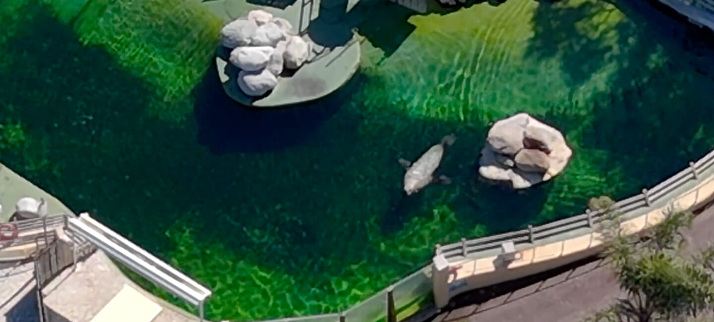 Après l’isolement et la souffrance à Marineland, Fox a été envoyé vers une exploitation sans fin