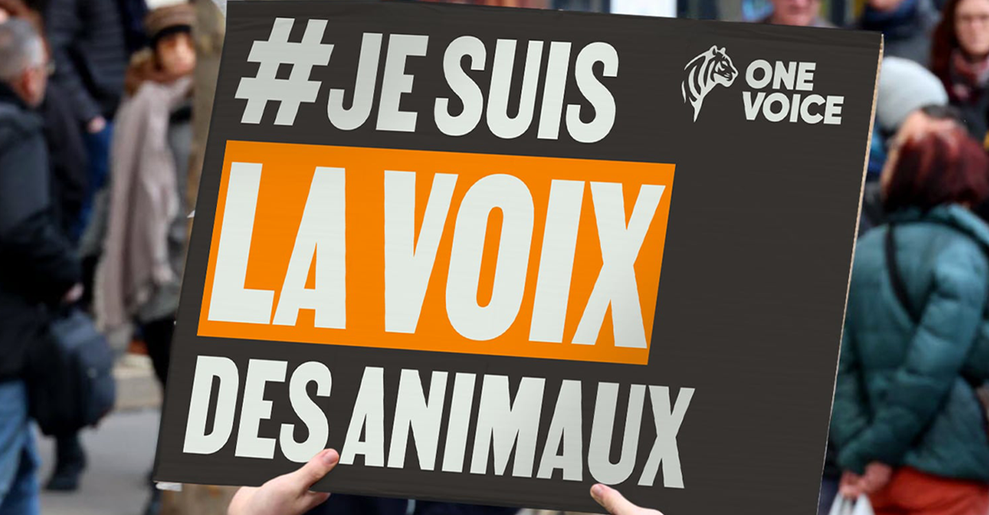 Marcilhac-sur-Célé #JeSuisLaVoixDesAnimaux