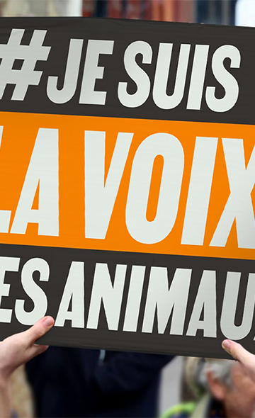 Marcilhac-sur-Célé #JeSuisLaVoixDesAnimaux