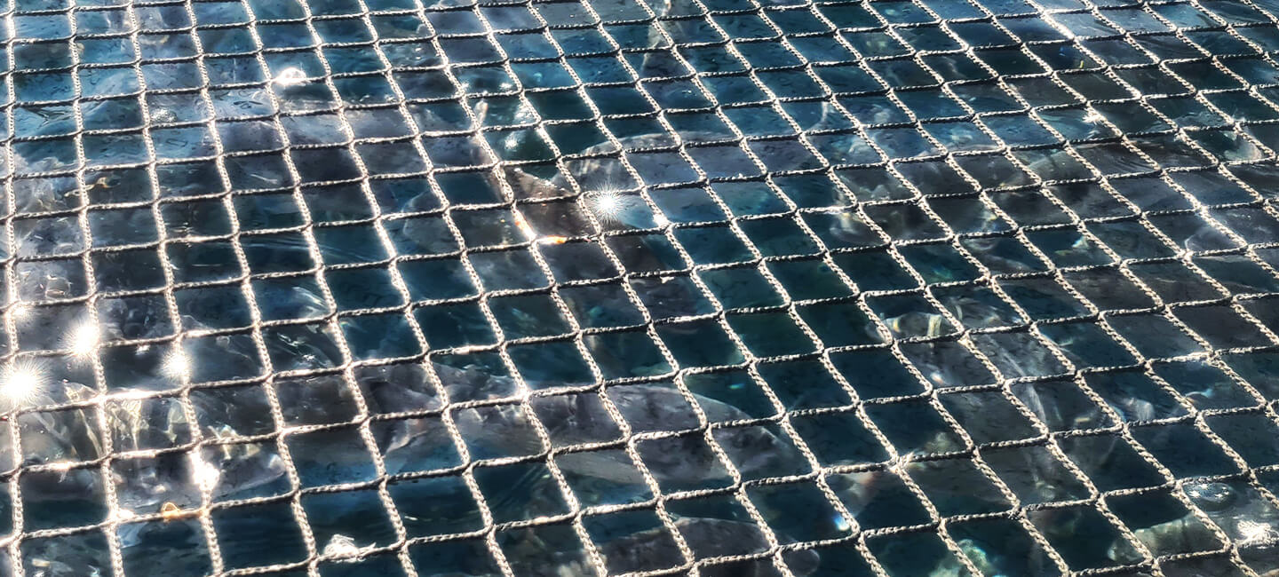 Stop aux installations piscicoles !
