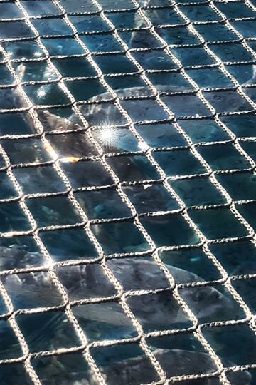 Stop aux installations piscicoles !