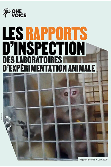 Expérimentation animale: ce que révèle notre rapport sur les inspections des laboratoires