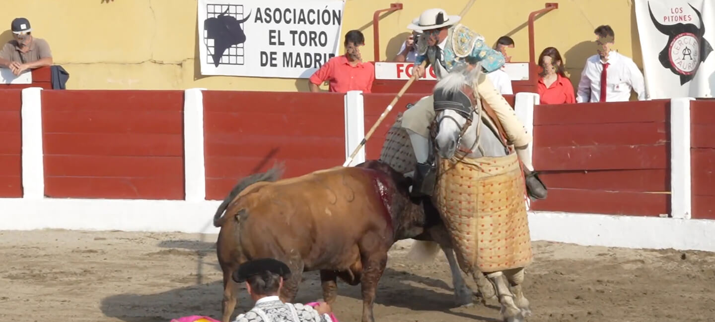 Corrida de Céret : images inédites d’un déchaînement inouï de violence