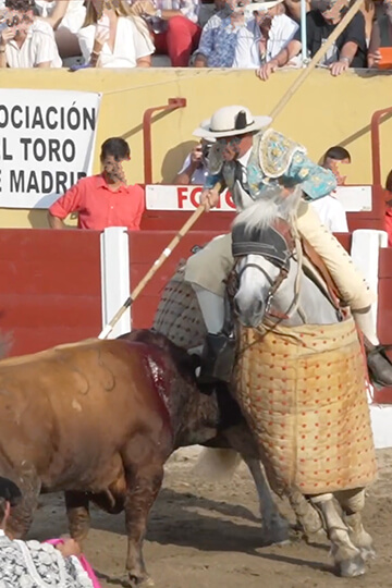 Corrida de Céret : images inédites d’un déchaînement inouï de violence