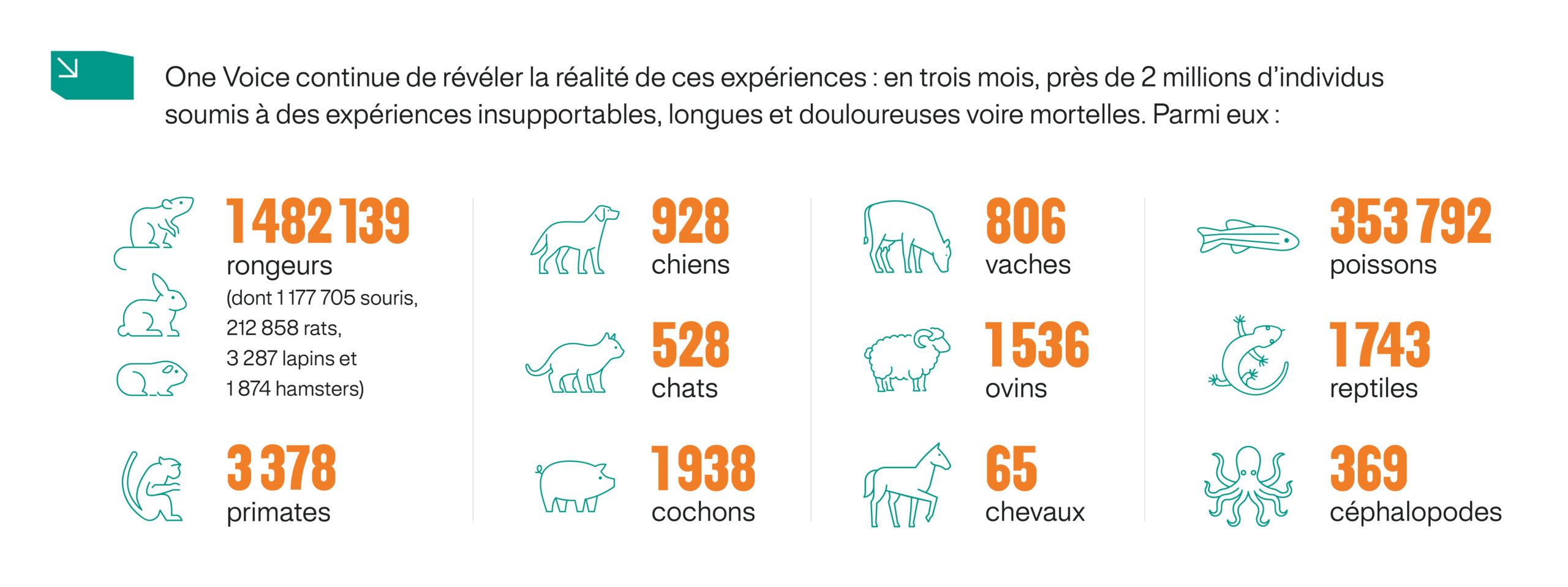 Mise en forme des chiffres par espèce animale. Voici les chiffres : 1 482 139 rongeurs (dont 1 177 705 souris, 212 858 rats, 3 287 lapins et 1 874 hamsters), 3 378 primates, 928 chiens, 528 chats, 1 938 cochons, 806 vaches, 1 536 ovins, 65 chevaux, 353 792 poissons, 1 743 reptiles et 369 céphalopodes