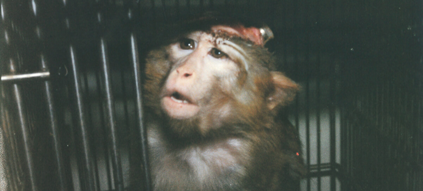 Une année de luttes en images