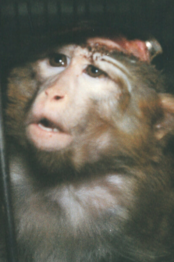 Une année de luttes en images