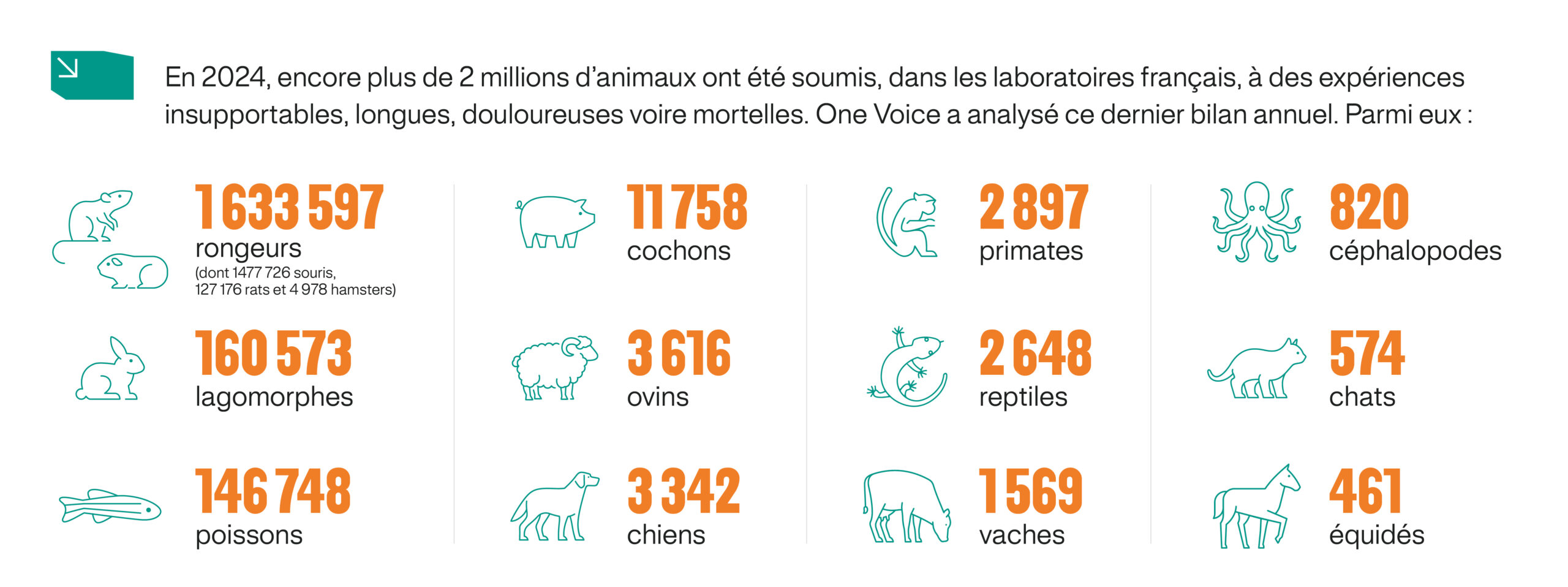 2024年には2,041,157頭の動物が検査される：フランスは身動きもできず凍りつく