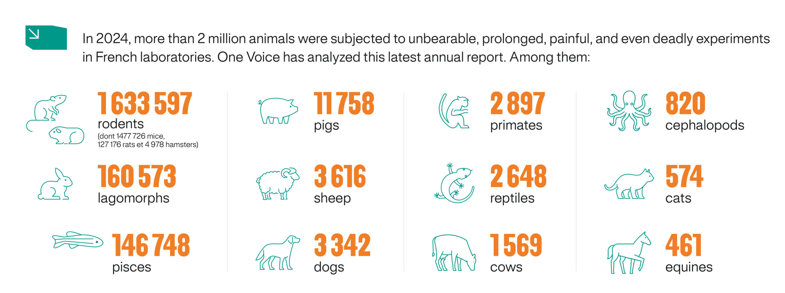 2,041,157 animals used in experiments in 2024: France seems frozen in inertia