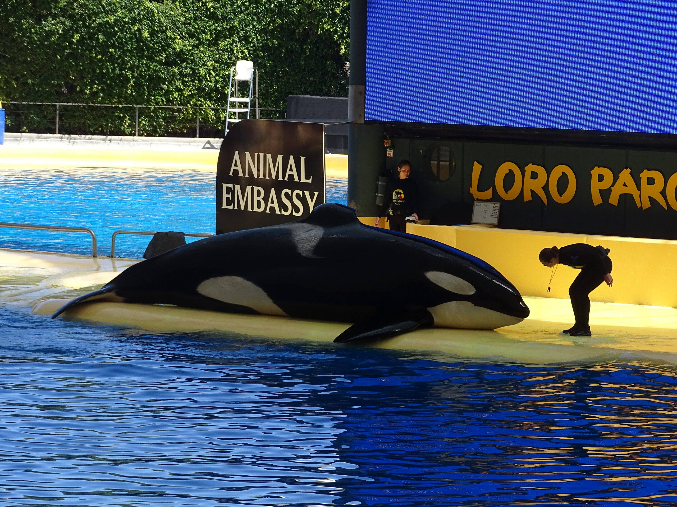 Loro Parque : Communiqué de Presse