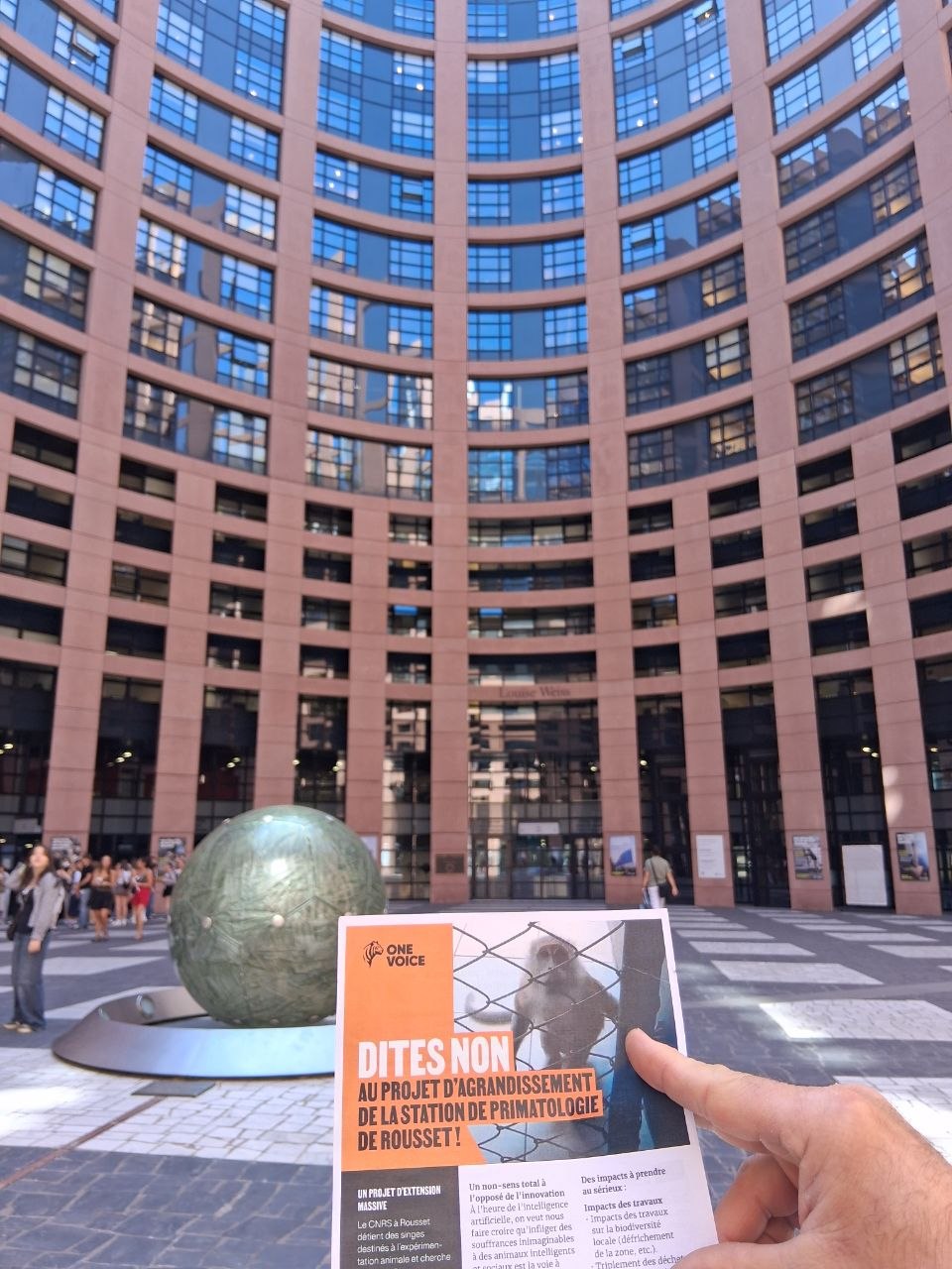 One Voice porte la voix des primates de Rousset au Parlement européen
