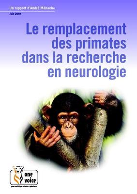 Le remplacement des primates dans la recherche en neurologie