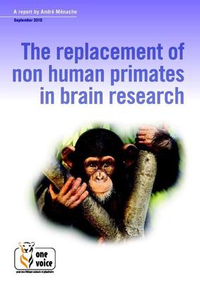 The replacement of non human primates in brain research