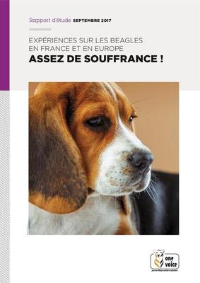 Expérience sur les Beagles en France et en Europe - Assez de souffrance !