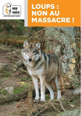Loups: non au massacre !