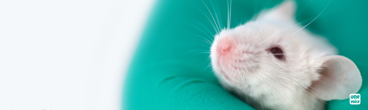 Global week of action for victims of animal experimentation