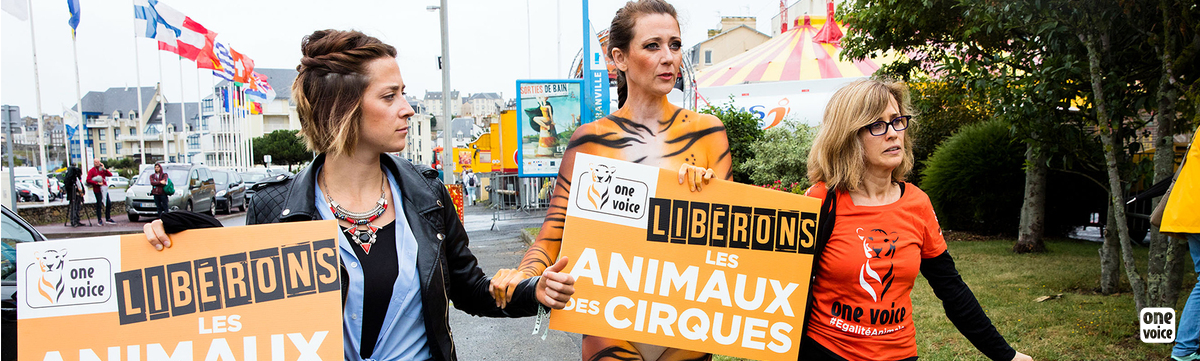One day too much in the circuses! One Voice in action in Granville for animals
