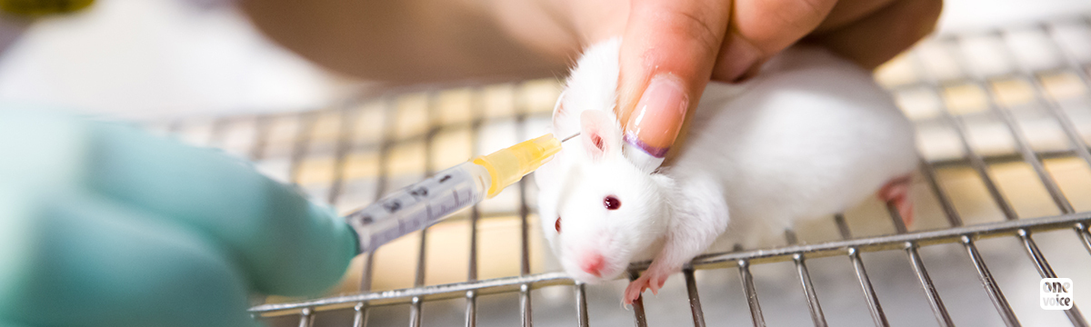 Scandalous record: 400,000 animals tortured each year to test botulinum toxin in Europe
