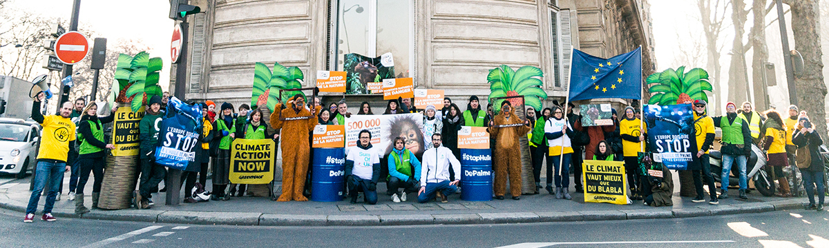 Stop palm oil being used in fuels!