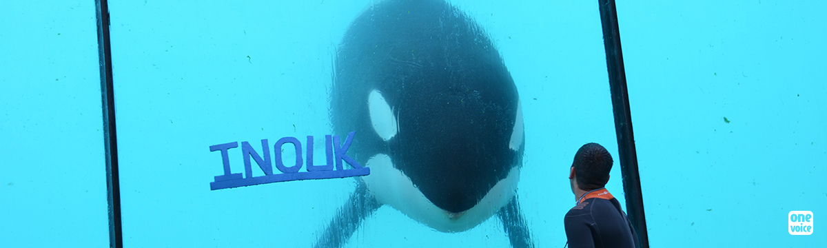 In court against the lack of clarity of Marineland and the State